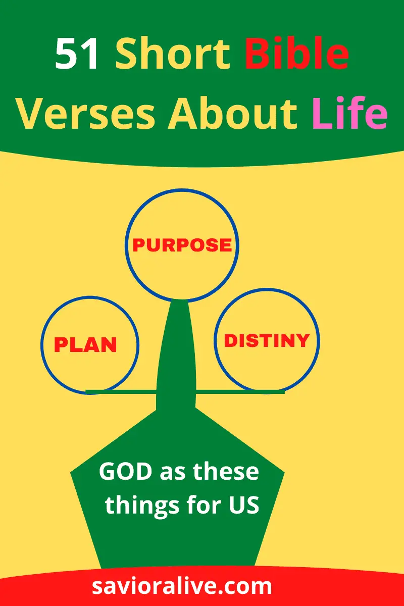 Short Bible Verses About Life