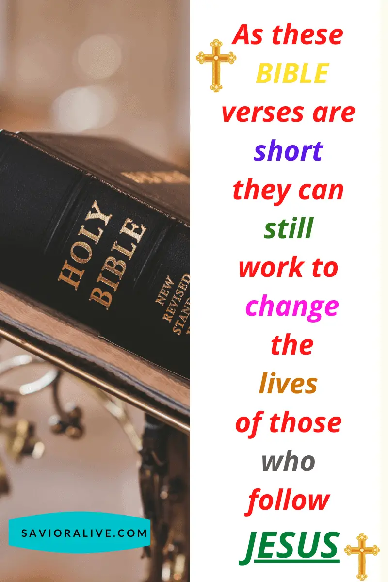 Shortest Bible Verses