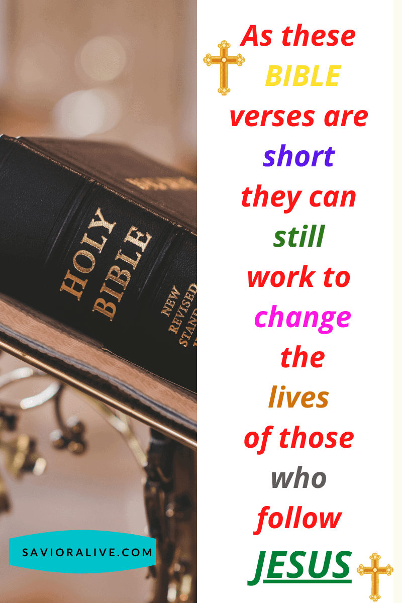 Shortest Bible Verses