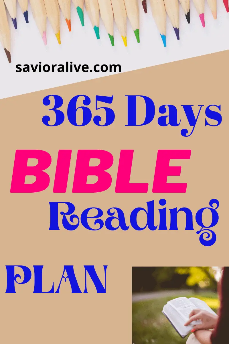 Daily Schedule For Reading The Bible For Beginners