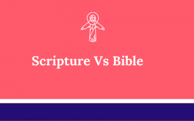 Bible vs Scripture: Know The Difference